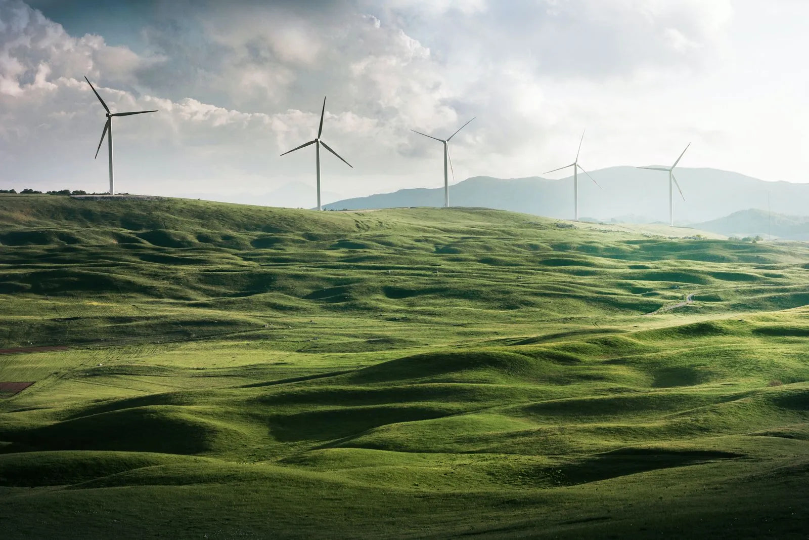 Reduce Energy Consumption and Save Money